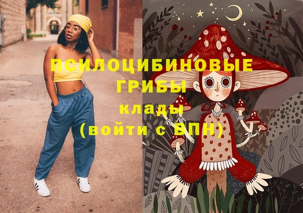 стафф Богданович