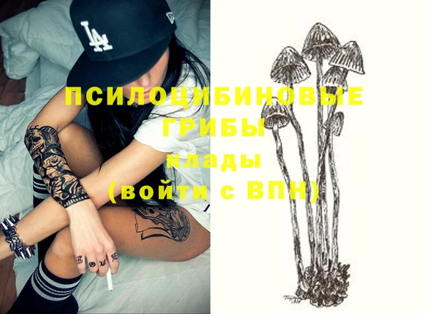 стафф Богданович