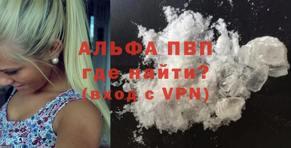 стафф Богданович