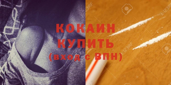стафф Богданович