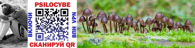 Псилоцибиновые грибы ЛСД  мориарти как зайти  Великие Луки  наркошоп 