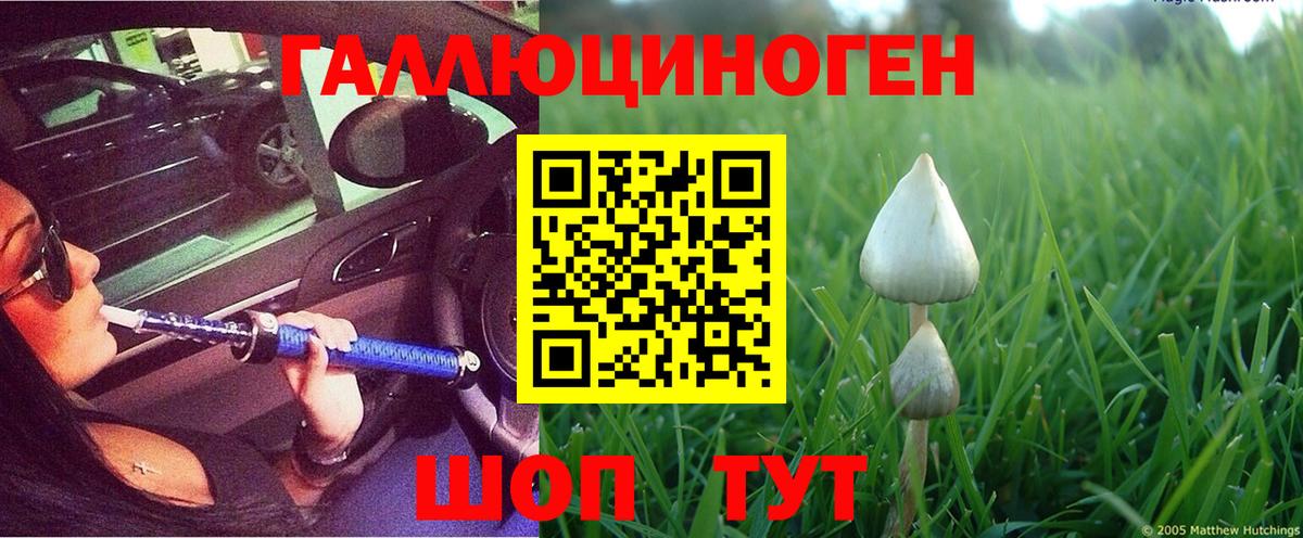 Галлюциногенные грибы прущие грибы Великие Луки